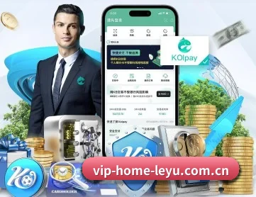 乐鱼入口 APP 深度功能